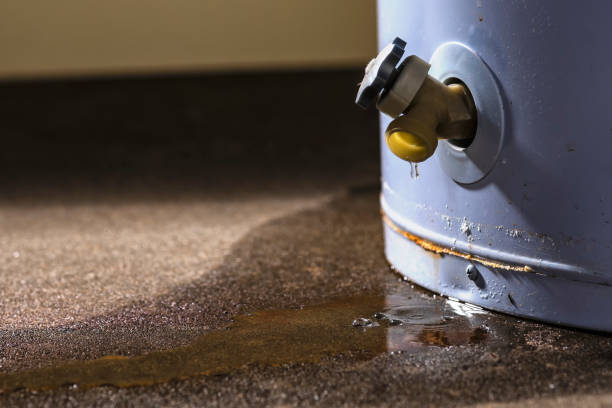  Cutlerville, MI Water damage restoration Pros
