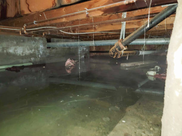 Best Commercial water damage restoration  in Cutlerville, MI