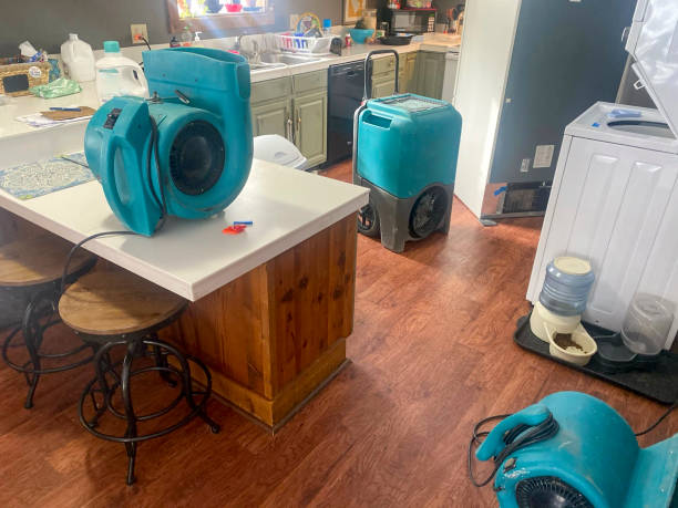 Best Carpet water damage restoration  in Cutlerville, MI