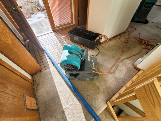 Reliable Cutlerville, MI Water damage restoration Solutions