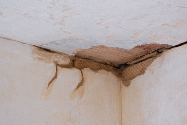 Best Local water damage restoration  in Cutlerville, MI