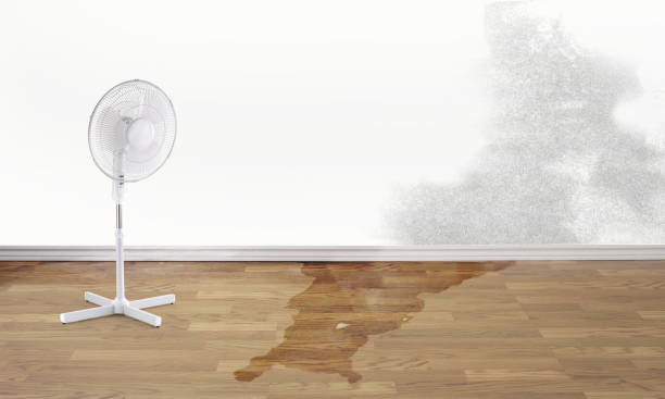 Best Residential water damage restoration  in Cutlerville, MI
