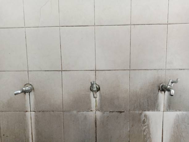 Best Sewage cleanup and water damage restoration  in Cutlerville, MI