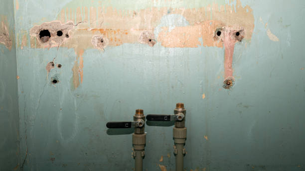 Best Water damage restoration insurance claims  in Cutlerville, MI