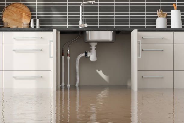 Best Flood restoration services  in Cutlerville, MI