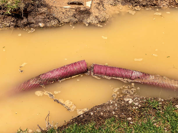 Carpet water damage restoration in Cutlerville, MI