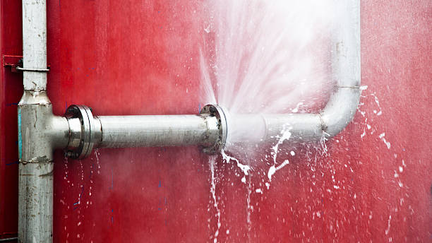 Best Basement water damage restoration  in Cutlerville, MI