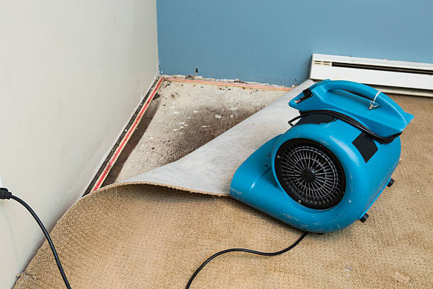 Best Professional water damage repair  in Cutlerville, MI